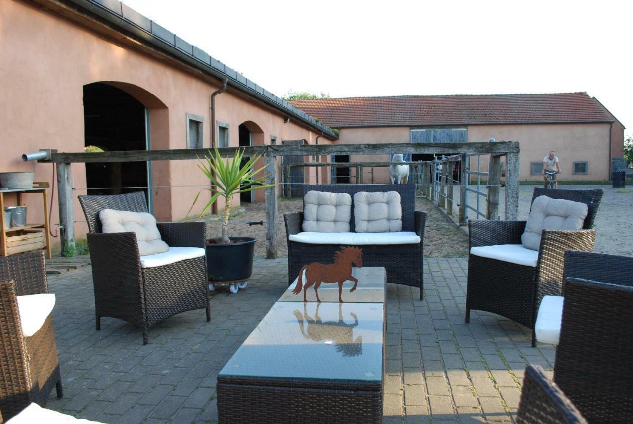 Ferienwohnung Auf Pferdehof Dreetz Extérieur photo