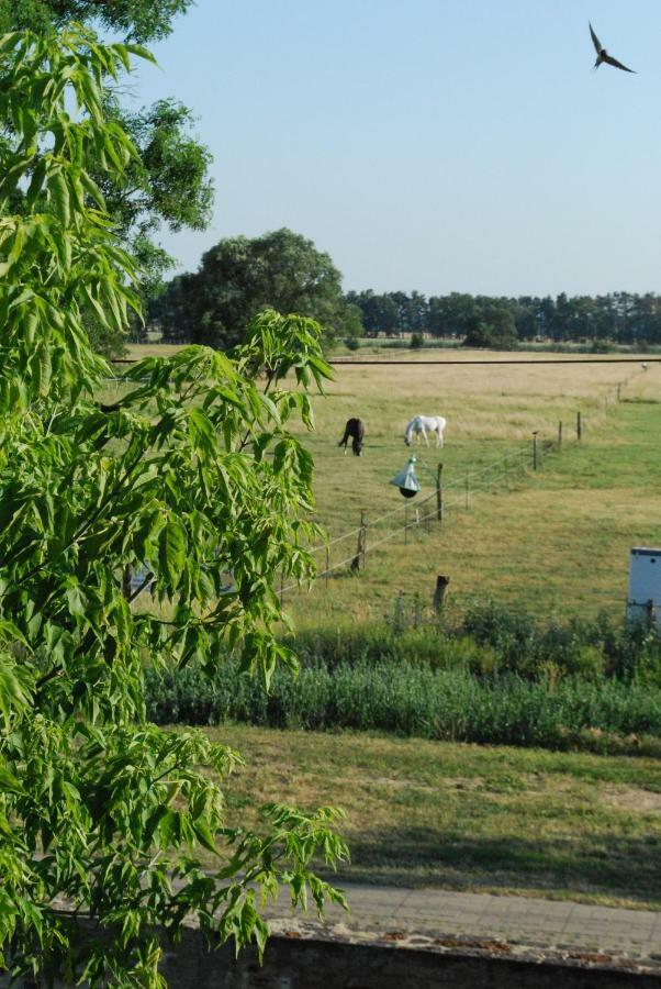 Ferienwohnung Auf Pferdehof Dreetz Extérieur photo
