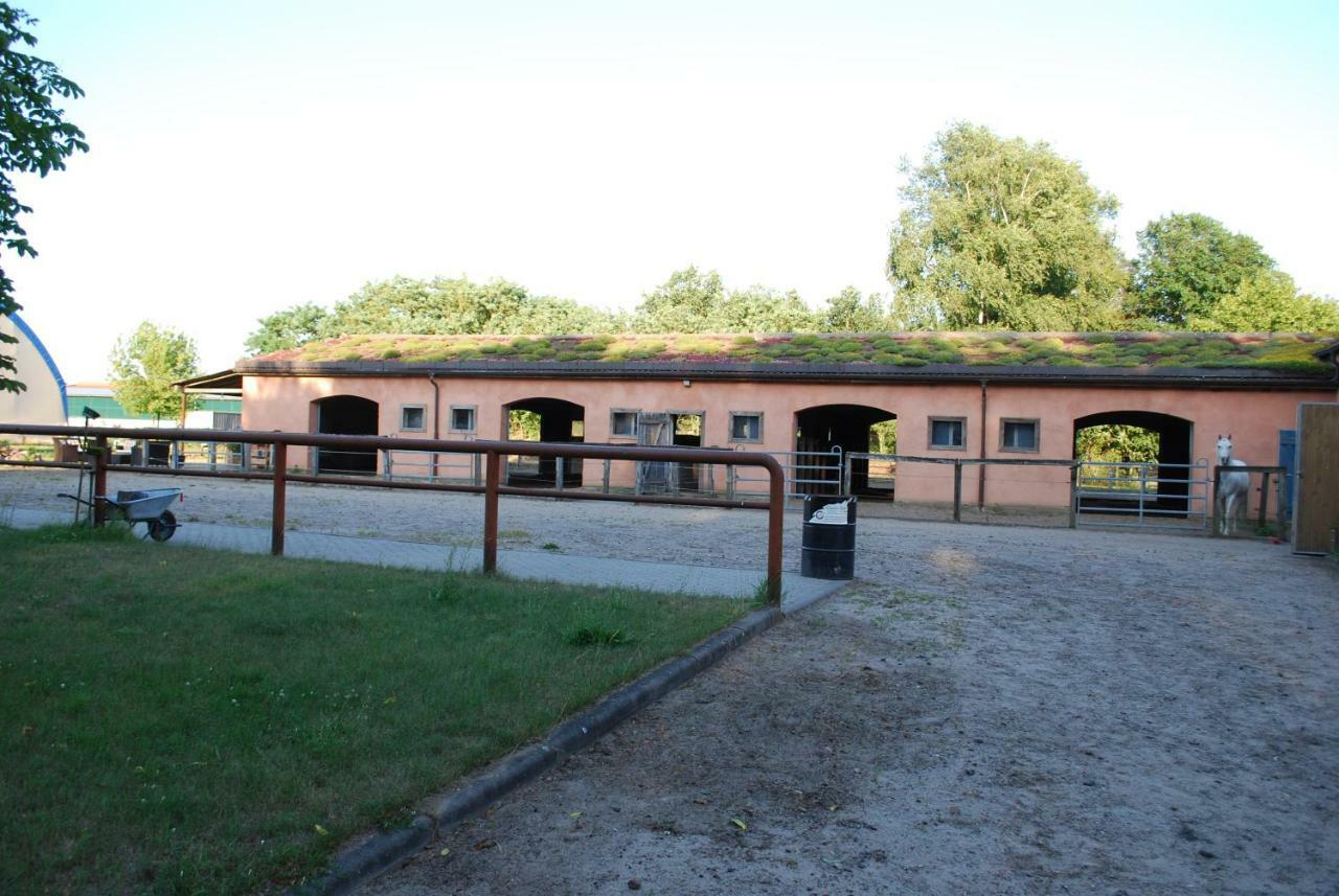 Ferienwohnung Auf Pferdehof Dreetz Extérieur photo