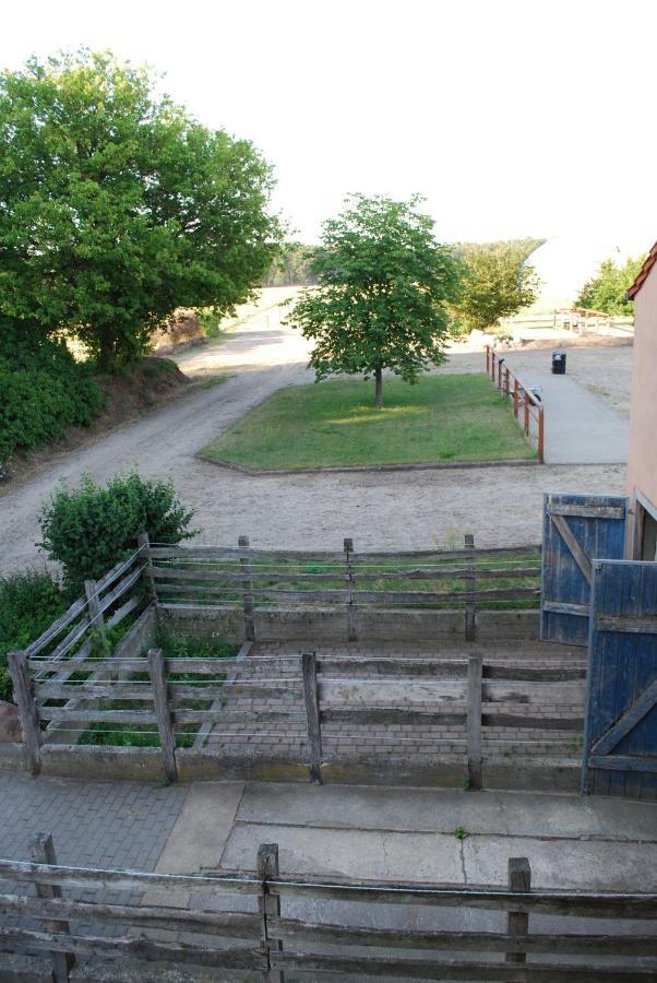 Ferienwohnung Auf Pferdehof Dreetz Extérieur photo